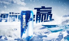 雪花啤酒的市場(chǎng)表現(xiàn)（雪花啤酒的容量規(guī)格）